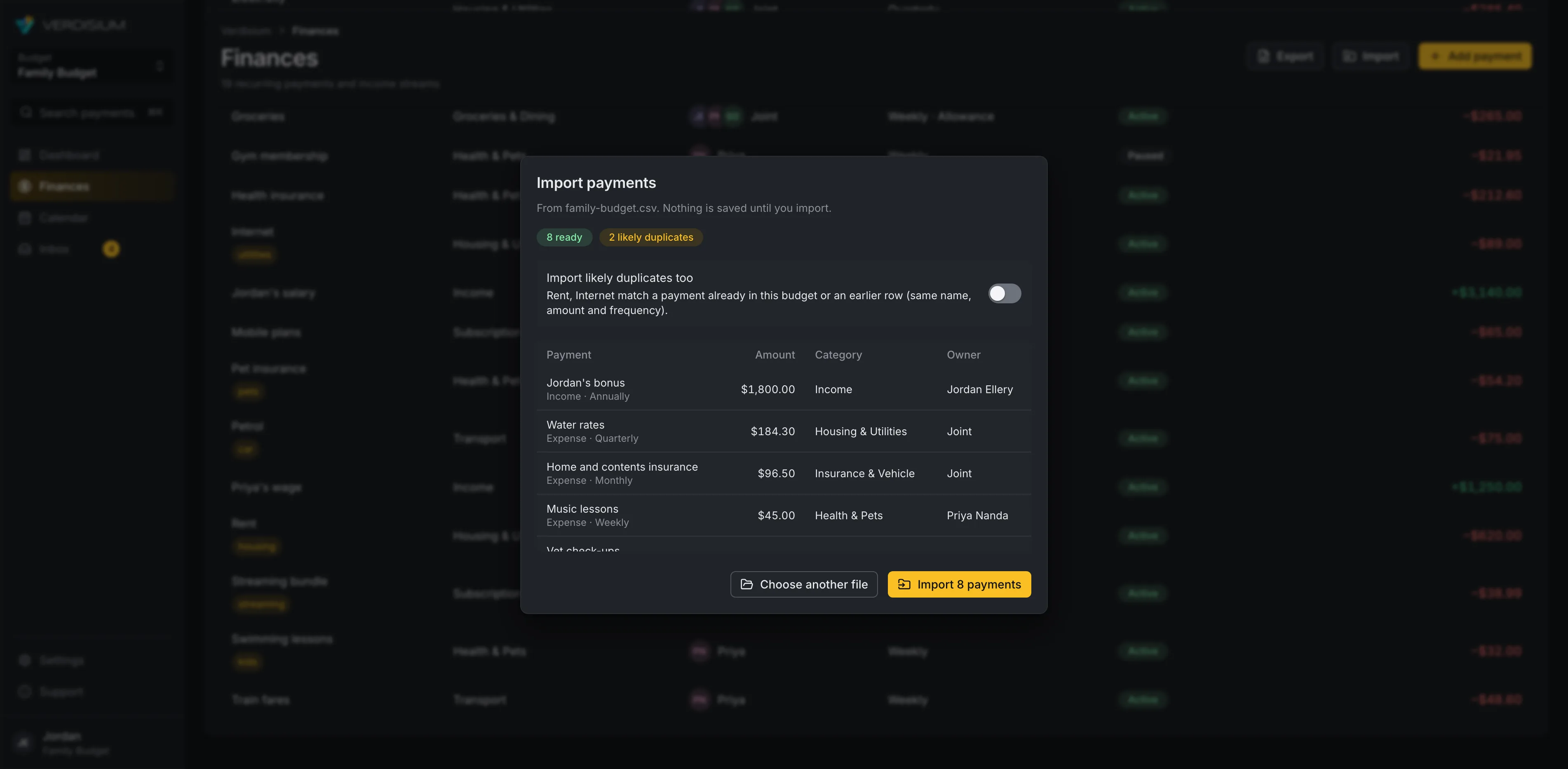 The import preview listing a spreadsheet's payments and the likely duplicates, ready to import